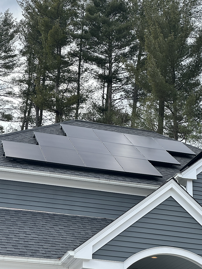 Solar panels on peaked roof with pine trees